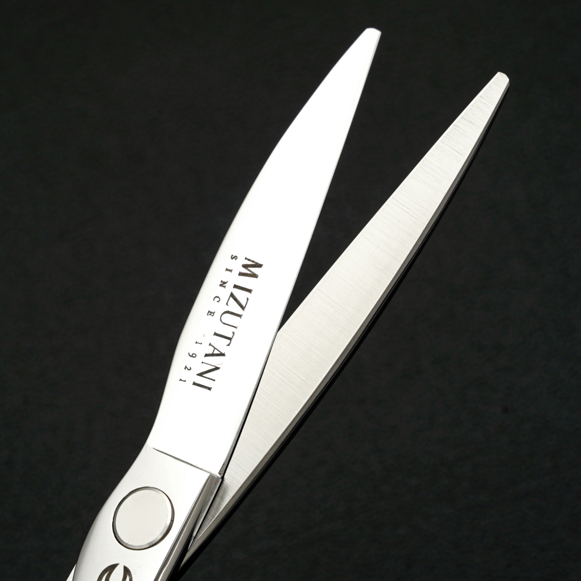 Kappersschaar 6 inch zwart schaar materiaal haarschaar kapperszaak kappersschaar gereedschap