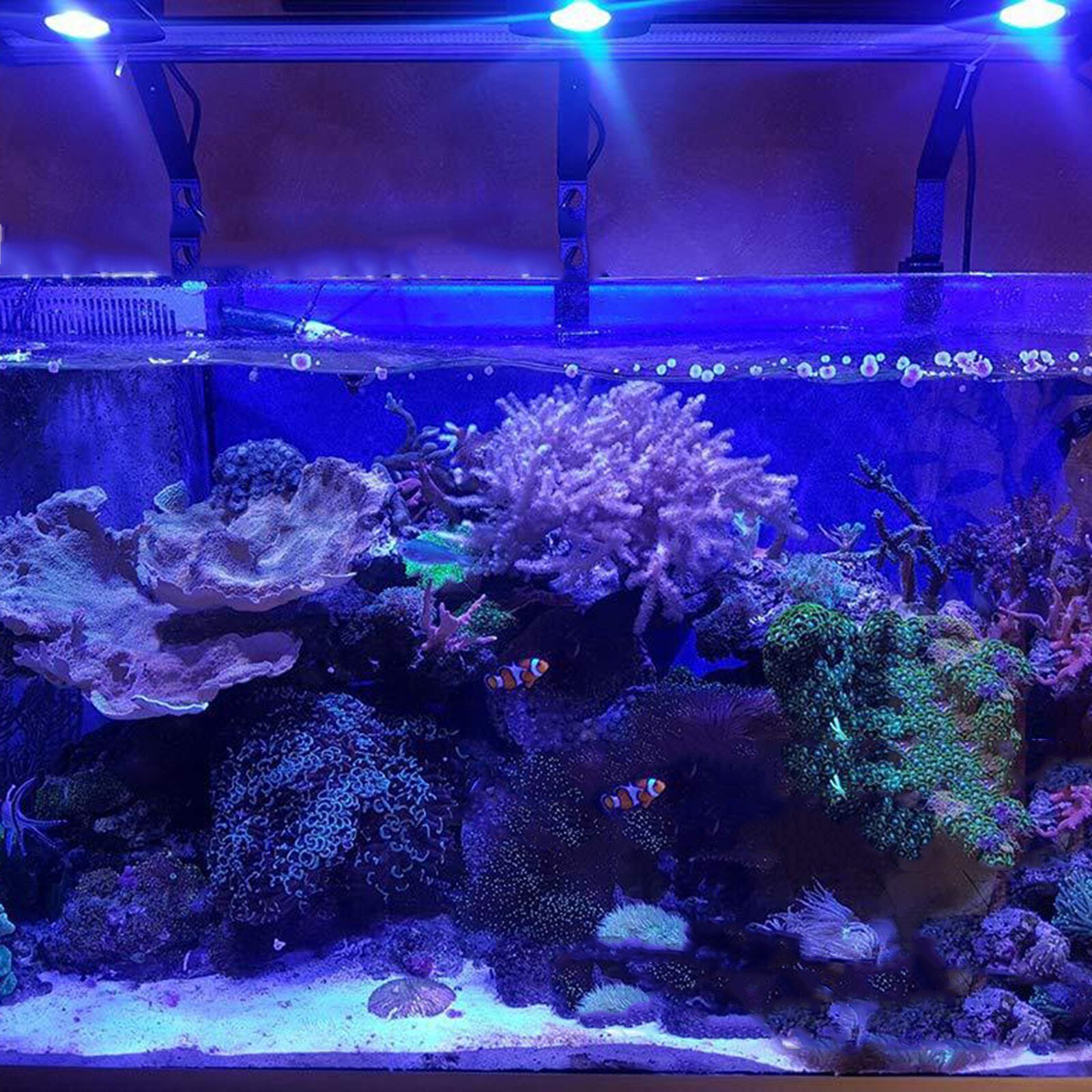 15w Led Lighting Dimmable Tank Lights With Gooseneck For Fish Tank Refugium Underwater Aquario Lamp Aquariums Decor Lighting#35
