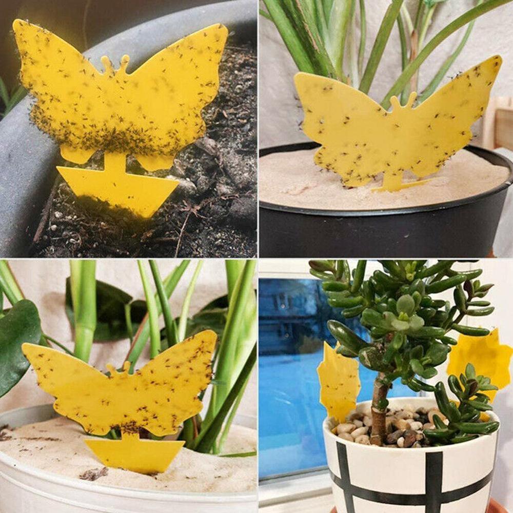 Collant insecte planche piège planche Double face jaune insecte planche bleu jardin imperméable planche en forme teinté fleur papillon