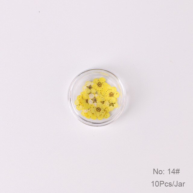 10 st  /1 box äkta nagelblommor gör-det-själv naturliga torkade blommor naglar konst dekoration torr flowe manikyr tillbehör blomdekaler: 14