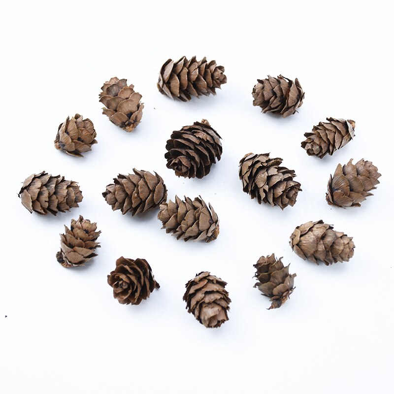 30 peças de cone de pinheiro para decoração de casa, natal, álbum de recortes, flores, plantas artificiais, atacado, caixa de presentes diy, guirlanda