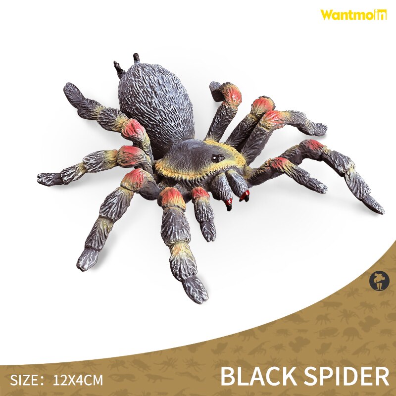 World-famous Dangerous Poisonous Wild Animal with Honey badger spider mosquito monitor lizard scorpion centipede snake Halloween: Black spider