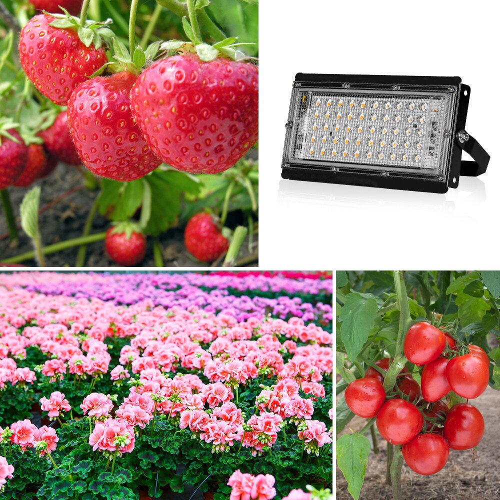 50W 100W 200W LED Grow Light 220V Phyto Lamp Waterproof Phytolamp Full Spectrum Plant Light Phytolamp for Home Plants Growbox