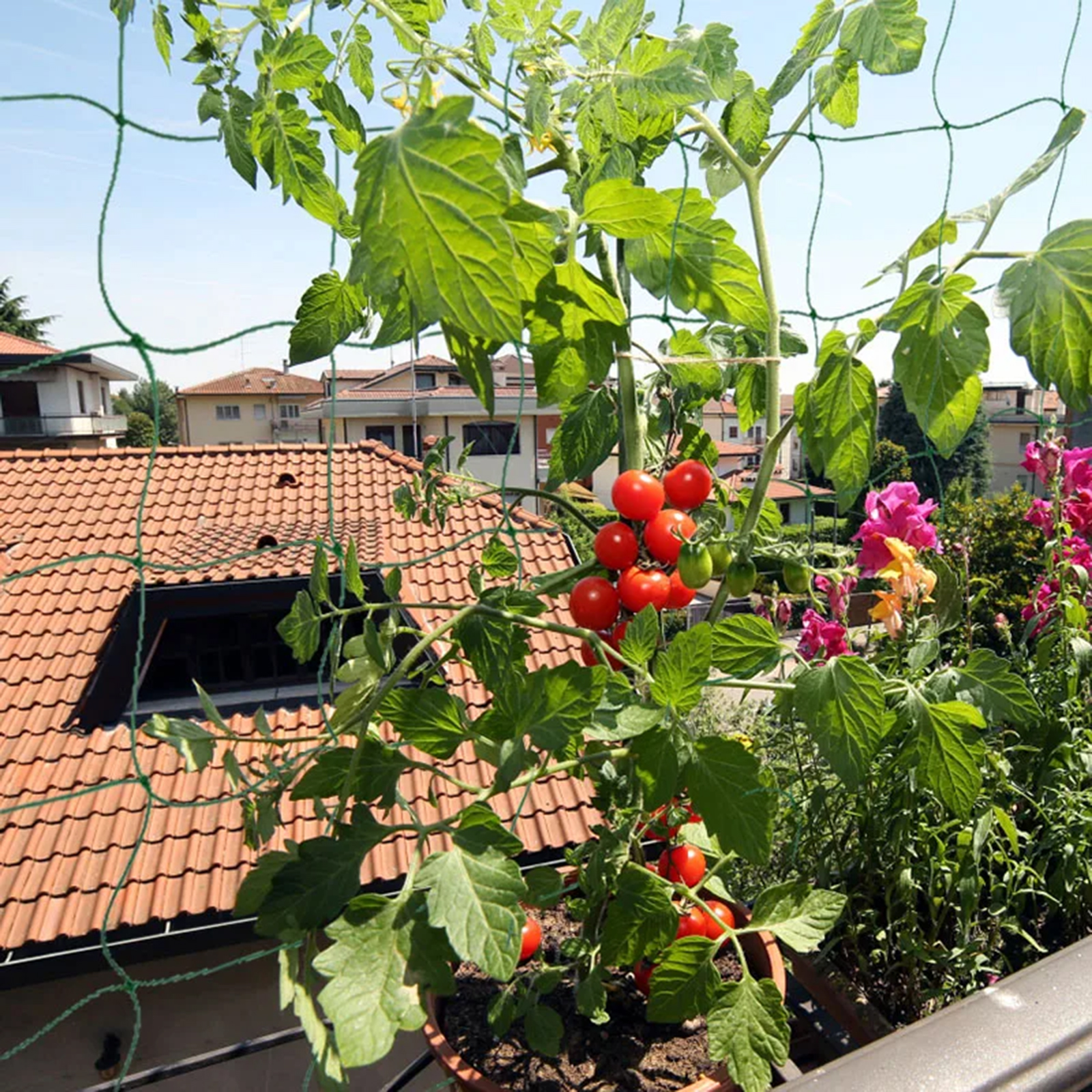 Red enrejada para plantas de jardín, enredadera Flexible para plantas trepadoras, frutas, verduras y vides