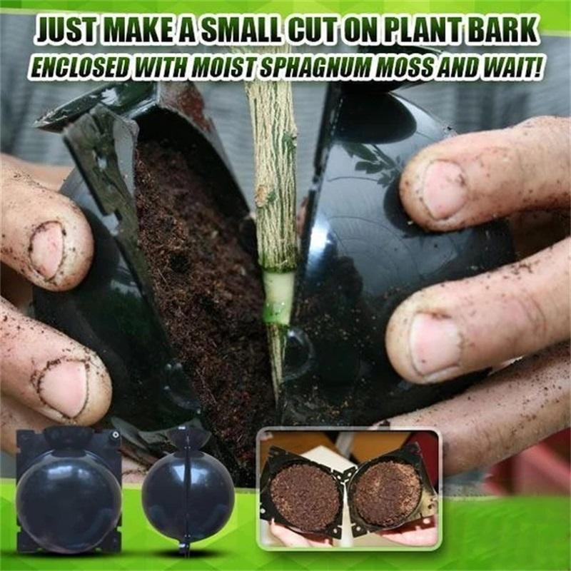 3 Sizes Plant Root Growth Box Ball Grafting Rooting Growing Box Breeding seeding Case Container Nursery Box Garden Seeds Root