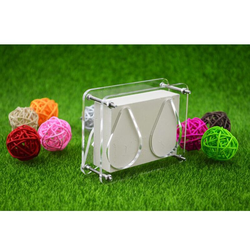 Mała farma mrówek willa akrylowe gniazdo gipsowe małe społeczności mini gniazdo mrówek owadów