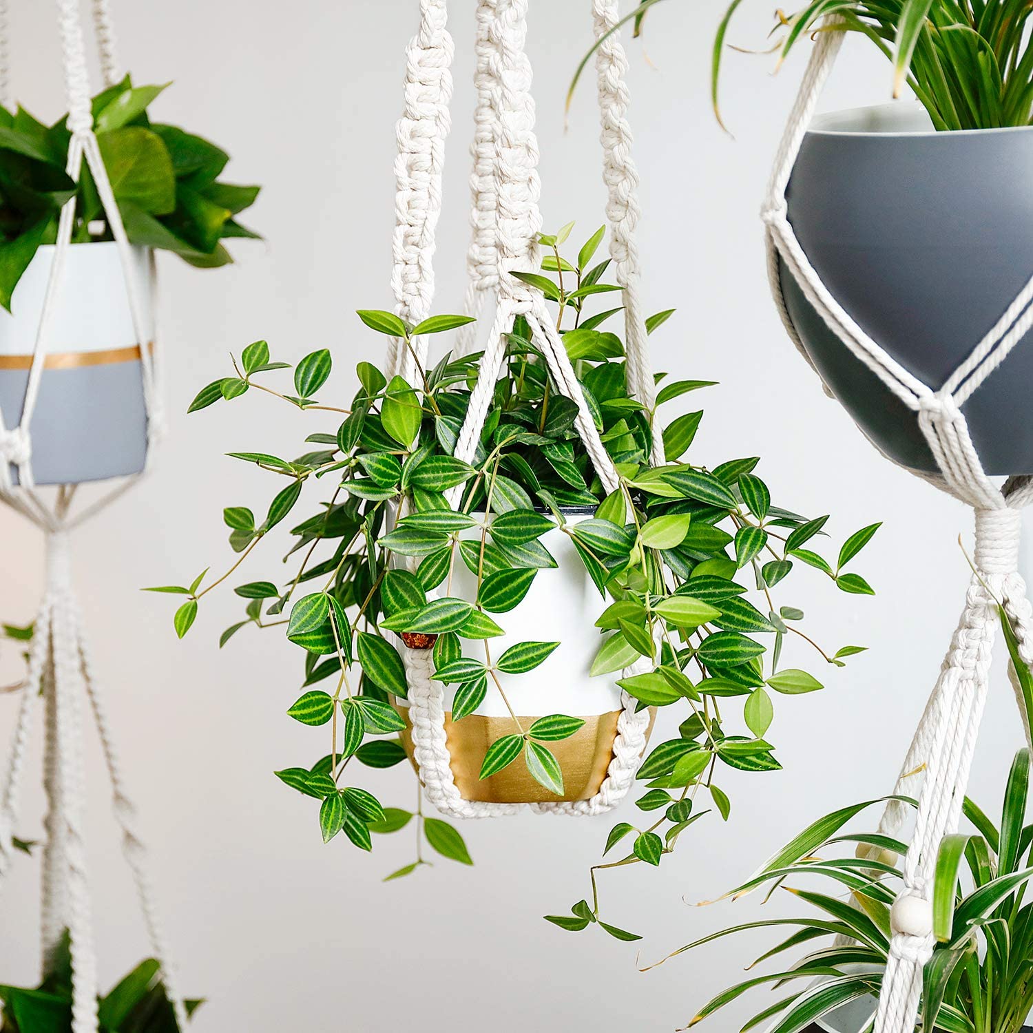 Plant Hanger Macrame Hangers Macrame Wall Hanging Plant Holder Air Plant Planters For Indoor Plants Indoor Plants Hanging Pot