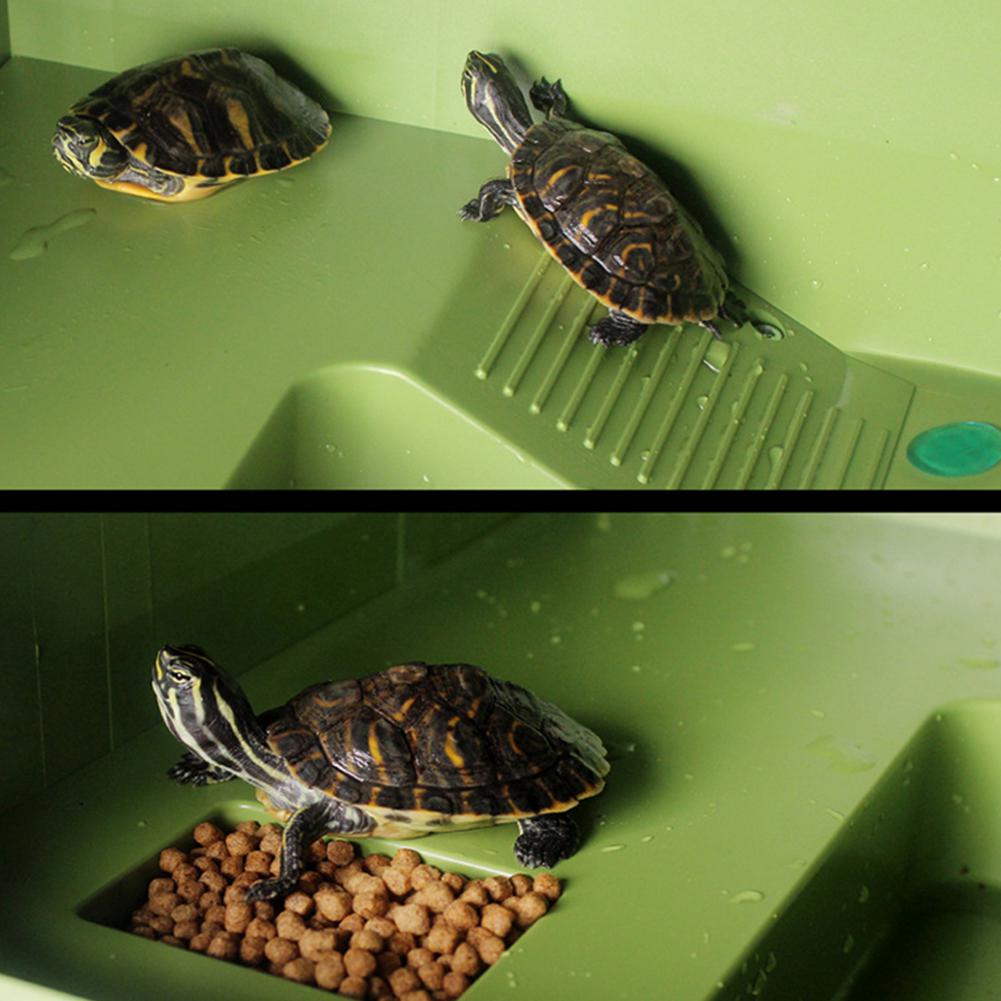 Skilpadde frosk flytende øy vannlevende kjæledyr reptil forsyninger akvarium ornament skilpadde brygge reptil habitat -25