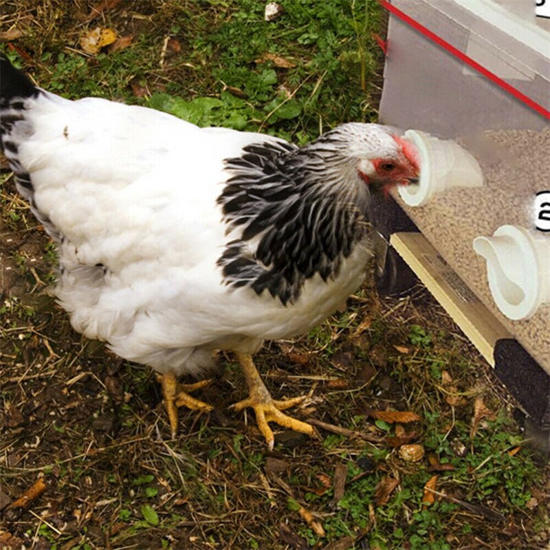 5pcs/set Chicken Feeder Automatic Port Rain Proof Poultry Feeder Gravity Feed Kit Suitable for Buckets, Barrels, Bins, Troughs