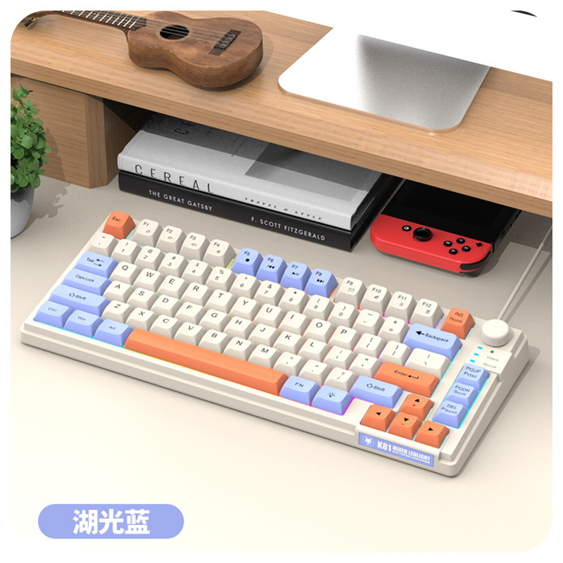 Tastatur K81 Spielen-Tastatur 81 Tasten 80 % Layout Spanisch Russisch Koreanisch Arabisch Tastatur USB-Kabel RGB-Licht Lautstärkeregler Ergonomie: Blau / Brauner schalter