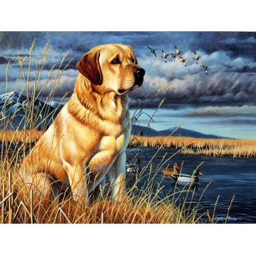 Cuadros DIY pinturas por números perro DIY pintura al óleo en lienzo decoración del hogar arte de la pared