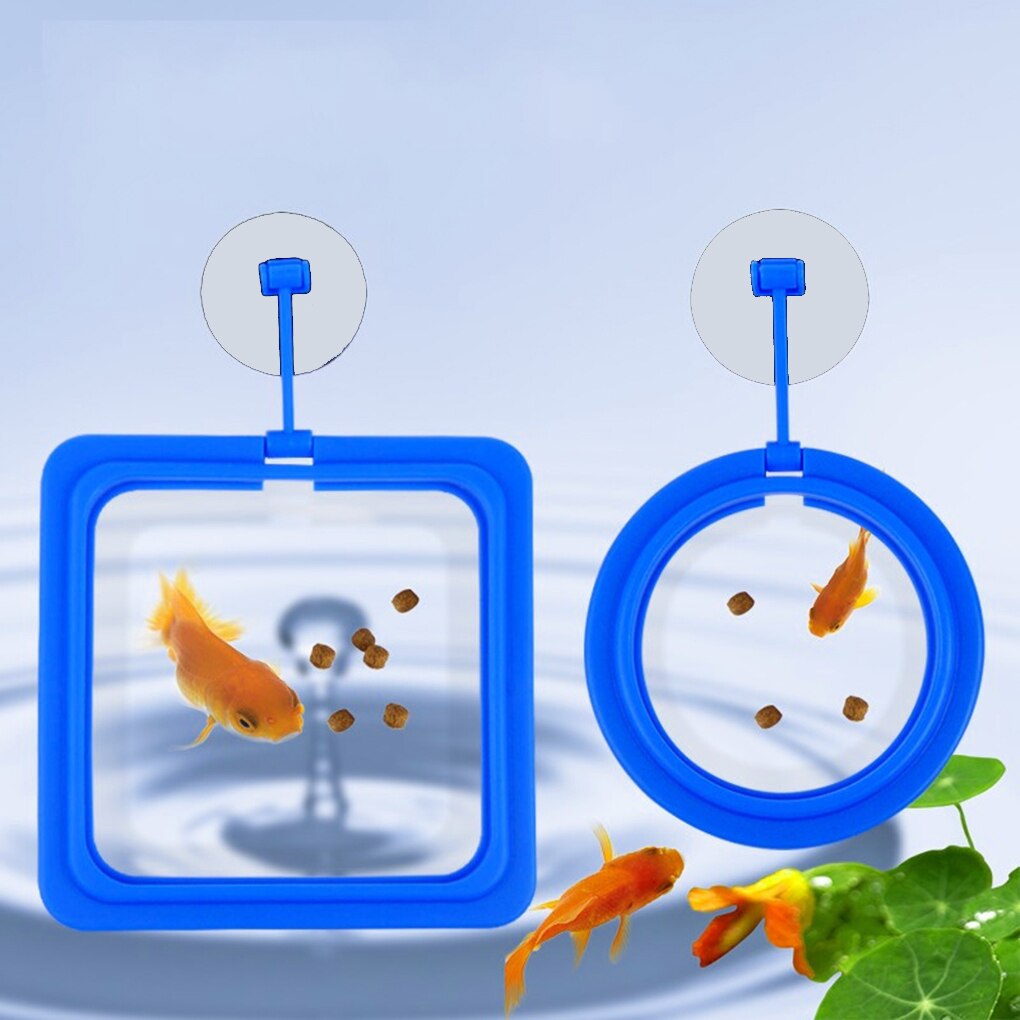 Visvoer Ring Aquarium Aquarium Kleine Type Tropische Zuignap Fish Feeder Voeden Ring Ronde Vierkante Aquarium Accessoires