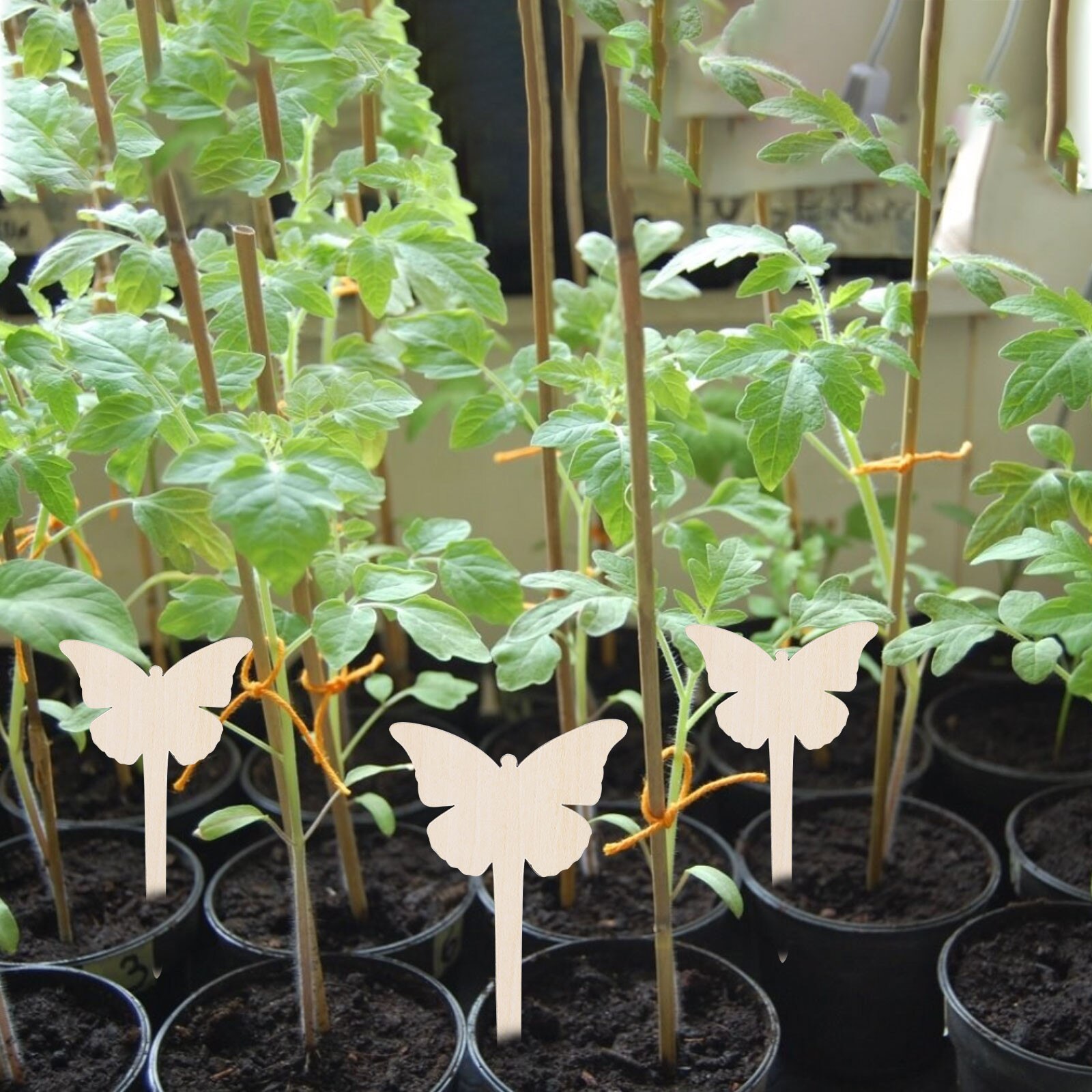 10 PCS Plant Tags Garden Plant Markers Wooden Label Nursery Garden Labels for Plant Pot Vegetable Seedling Tray Gardening Tools