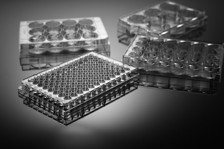 5 pcs, 12-hole disposable Petri Dish 12-well bacterial culture plate sterilization dish independent packaging