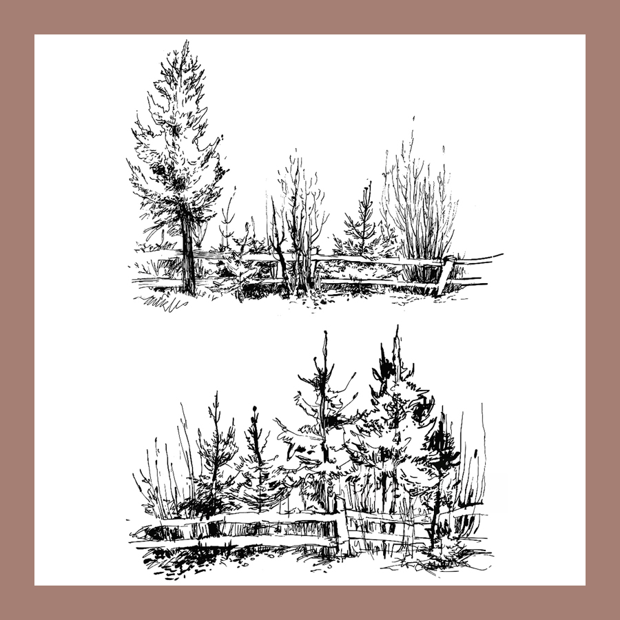 ZATWBS Lonely forest Clear Stamps For DIY Scrapbooking/Card Making/Album Decorative Rubber Stamp Crafts
