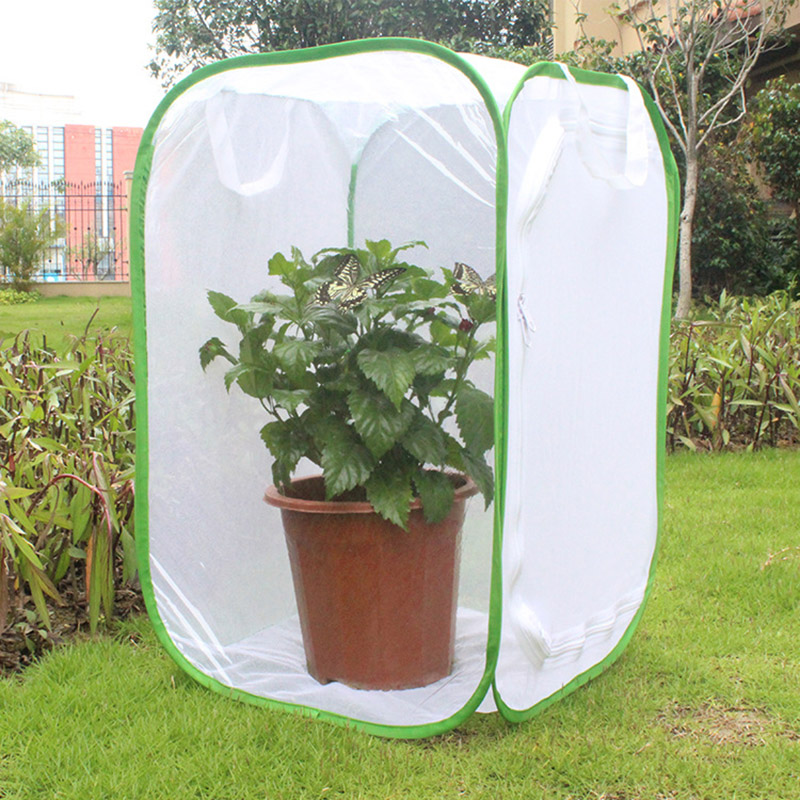 Insekt Schmetterling Kit Ursprünglichen Lebensraum Leben Wissenschaft Bildung Schmetterling Kit Faltbare Insekt Käfig Schmetterling Garten S7: M