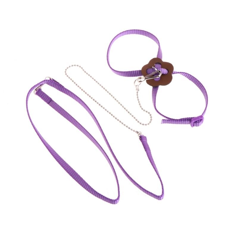 Laisse de harnais d'oiseau de perroquet pour animaux de compagnie corde d'entraînement réglable extérieure sangle de Traction Anti-vol bande souple Portable directe: VIOLET