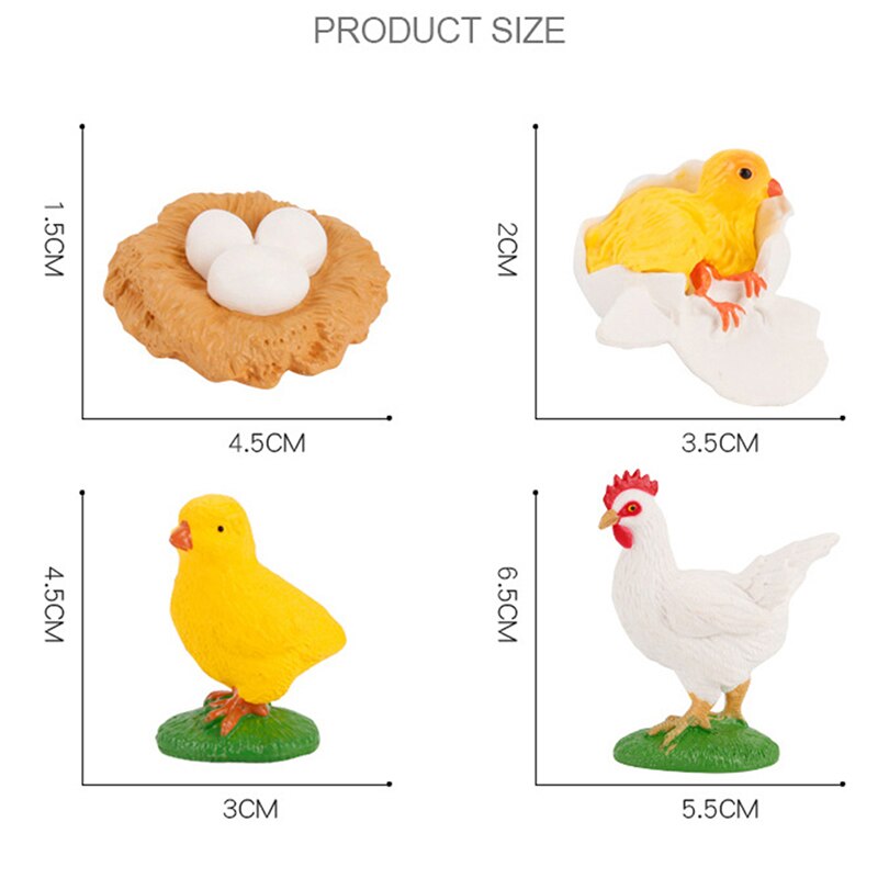 Cognitive Toy Simulation Life Cycle Animals Plant Growth Cycle Model Science Educational Toys For Children