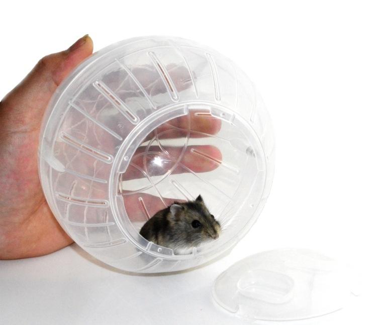 Plastic Pet Rodent Mice Hamster Gerbil Rat Jogging Play Exercise Ball Toys Plastic Small Ball Toy