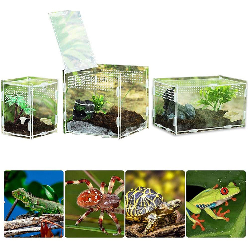 Reptile Breeding Box Acrylic Terrarium Transparent Spider Lizard Scorpion Amphibian Assembled Insect Breathable Terrarium