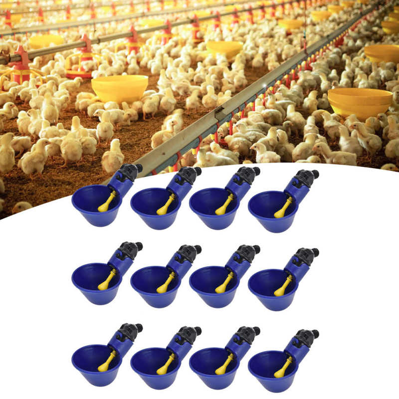 Chicken Watering System Chicken Waterer Automatic PP Plastic High Standard Chicken Watering Cup with Spring for Farm for Animal