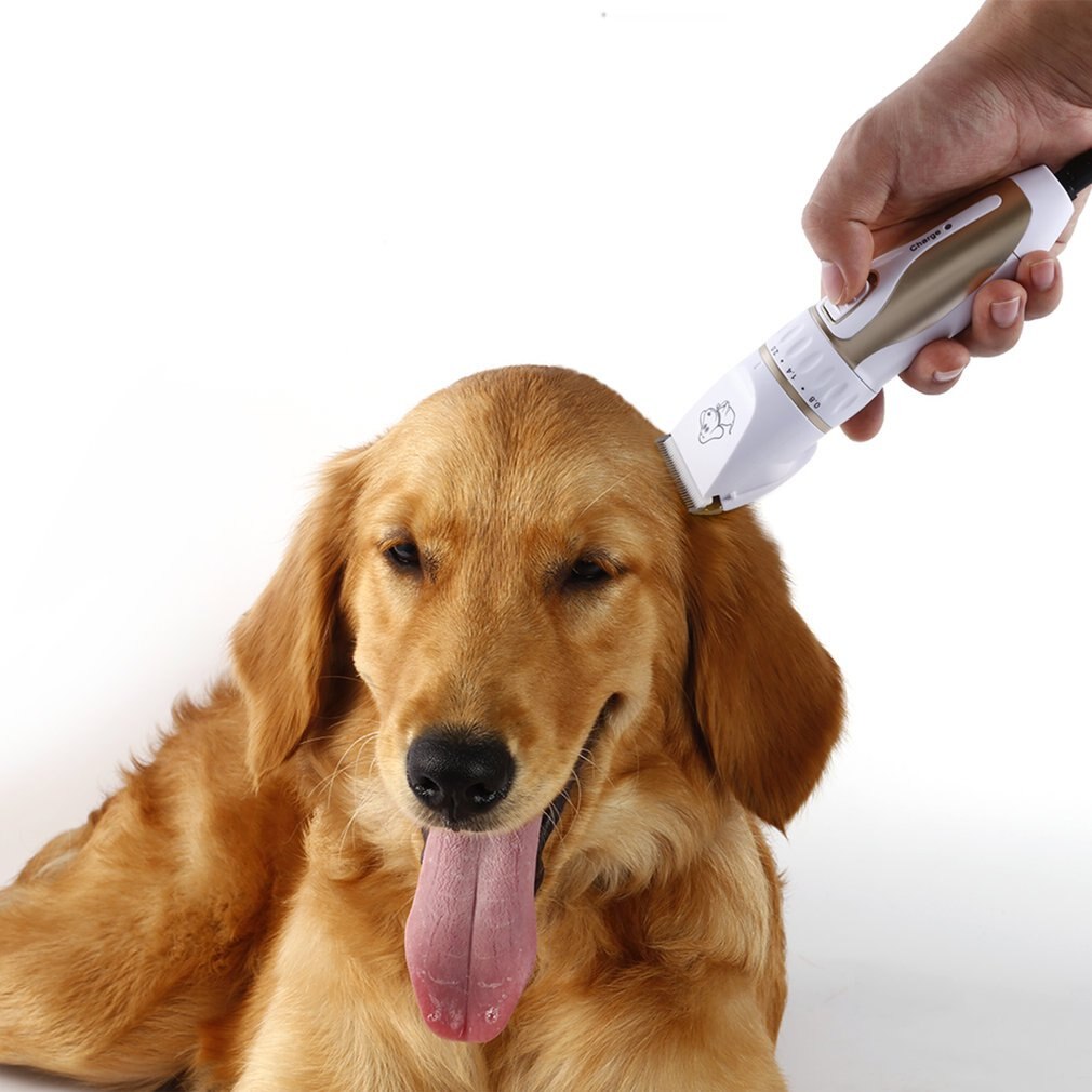 Højtydende kæledyrsakseklippere hundeskærer opladning elektrisk hundehårklipper hundes hårklippermaskine