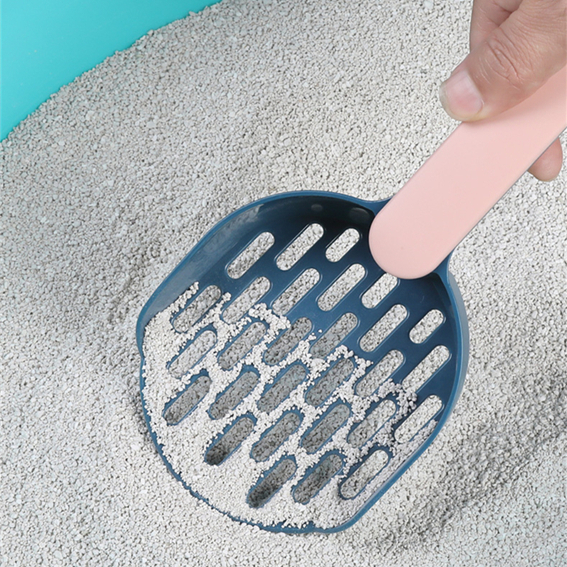 Gato maca pá de limpeza do animal estimação gato maca filtro ferramenta gato toalete apoio pá maca do gato base conjunto