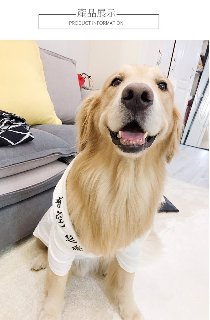 Albornoz de fibra de bambú elástica para mascotas, Toalla de baño superabsorbente para perros grandes, suministros de limpieza para mascotas