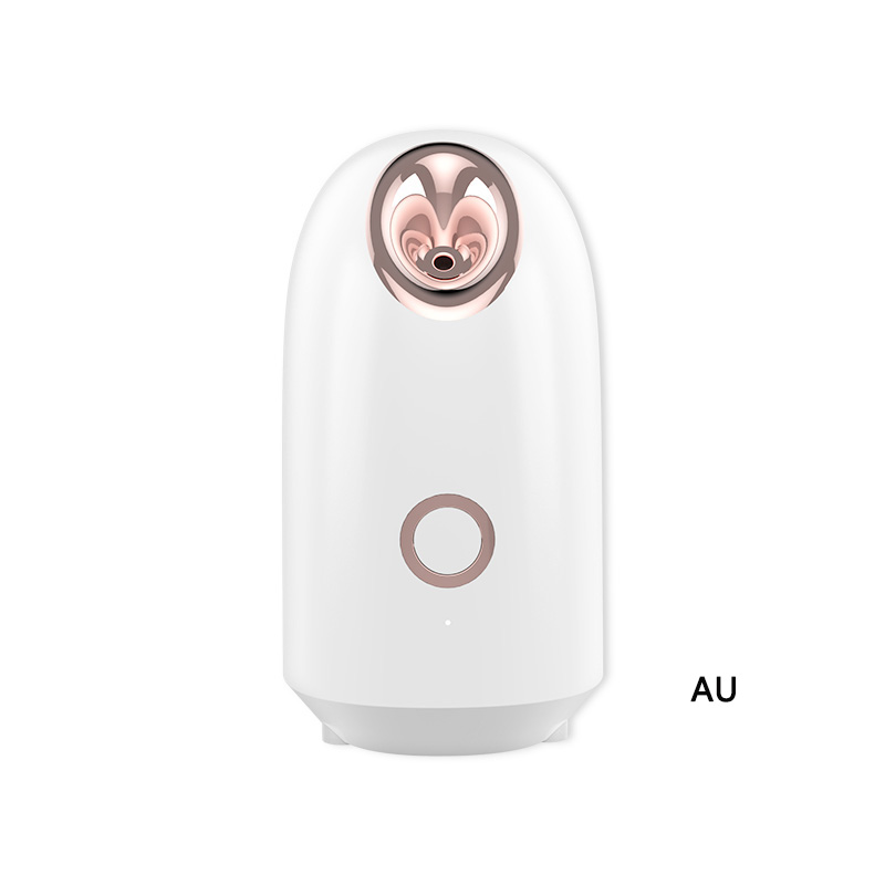 Profession elle nano ionische warme Nebel Home Face Sauna tragbare Luftbe feuchter Maschine tief sauber straffen die Haut täglich Feuchtigkeit: Licht Grün