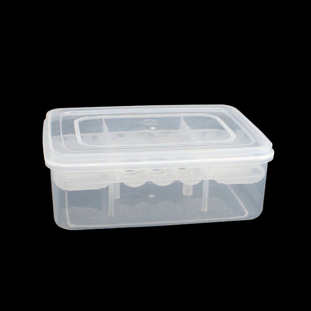 Caja de incubación de huevos para Reptiles caja de incubación de Reptiles adecuada para incubar lagartos de serpiente, Reptiles con termómetro