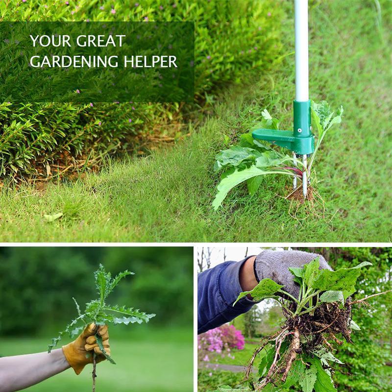 Standing Plant Root Remover Hand Tool Garden Outdoor Removal Stainless Steel Farmland Puller Dandelion Manual Digging Lawn Multi