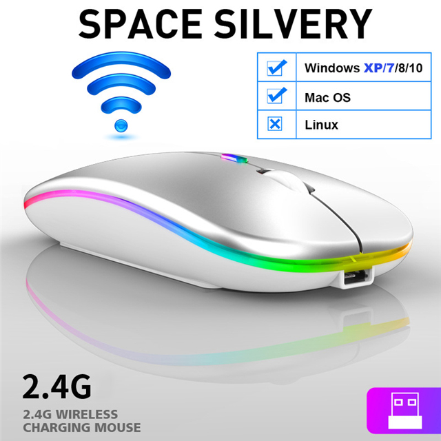 Bluetooth Mouse Silent Mause Wifi Mouse Rechargeable Wireless Mouse Ergonomic Mini Mouse USB Optical Mice For PC laptop Desktop: Wireless Silver