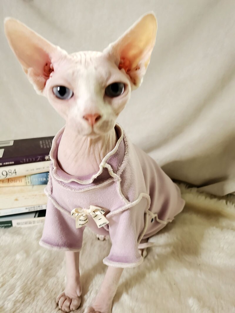 Spring Autumn Wearing Cat Apparel kitten Jumper Hairless Cat Outfits Cat Coat Kitty Cute Cat Clothing Sphynx cat Clothes: Purple / XS