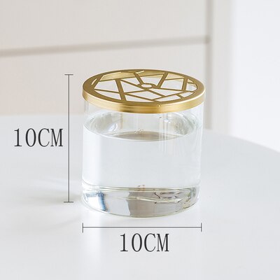 Nordic Transparent Glass Vase Golden Grid Cover Living Room Flower Arrangement Ikebana Decoration Desktop Hydroponic Plants Tool: D