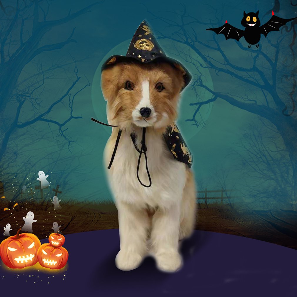 Capa de Halloween para perro y gato, sombrero de bruja, disfraz para gatos y perros pequeños, ropa de vestir para de Halloween