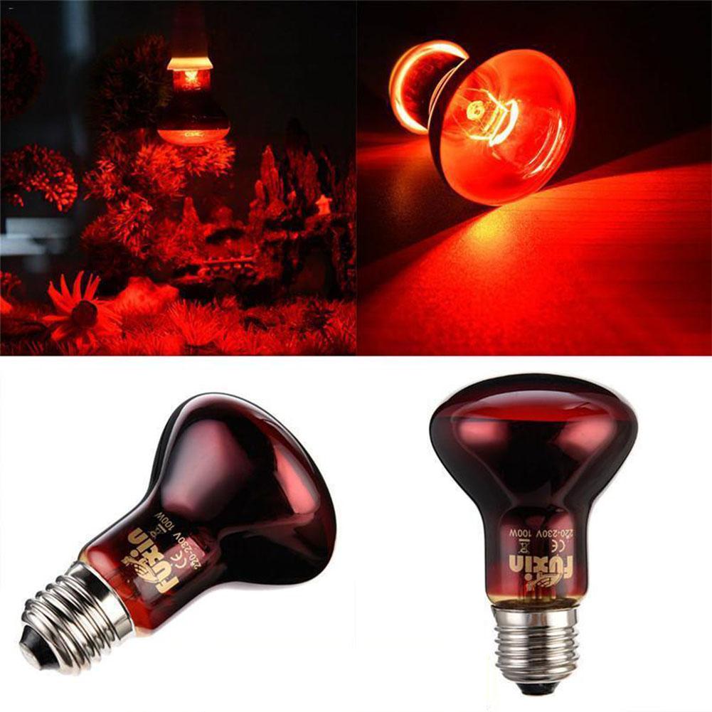 Luz LED nocturna para reptiles, lámpara de calor infrarroja UVA, Bombilla para serpiente, lagarto, accesorios para reptiles