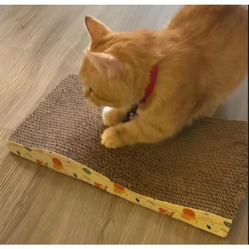 Máquina cortadora de cartón: dispositivo casero para hacer rascadores de gatos utilizando tecnología de impresión 3D y herramientas artesanales de bricolaje