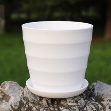 Mini caja de plástico blanca para cultivo, maceta para flores, plantas suculentas maceta para, decoración para el hogar, macetas para guardería, 10 piezas