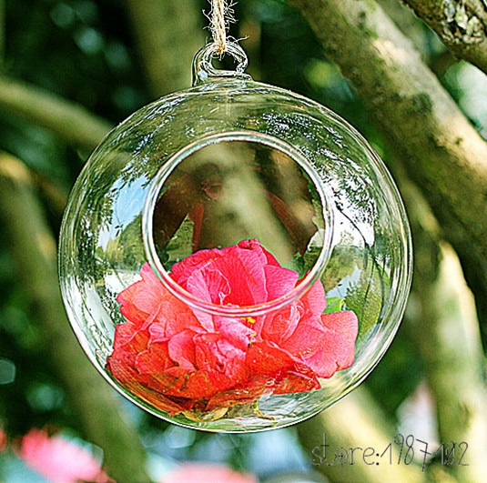 Globe transparent en verre rond à suspendre en 6/8/10cm, 8 pièces, Terrariums à plantes, boules de fleurs, Vase de fleurs pour décorations de mariage, à monter soi-même