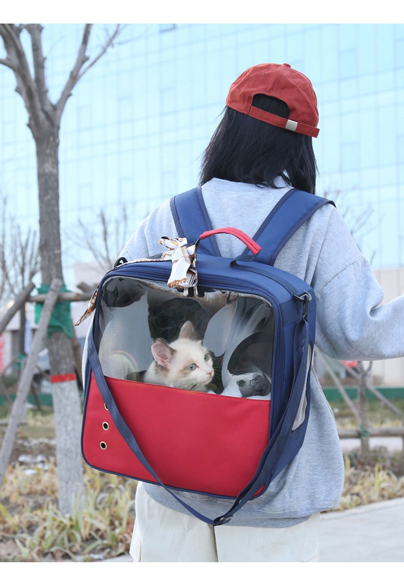 Kæledyr kattebærer hundetaske rygsæk dobbelt farve gennemsigtig udendørs stort rum hvalp kat rygsæk mochila para gato