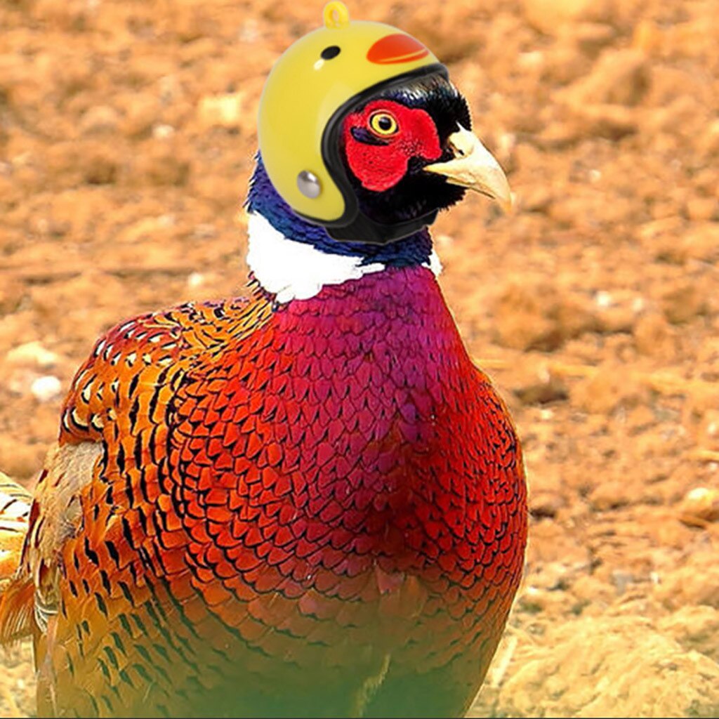 1pc Pet Supplies Compact And Portable Funny Protection Chicken Helmet Hen Hard Hat Bird Hat Headgear Poultry Accessories