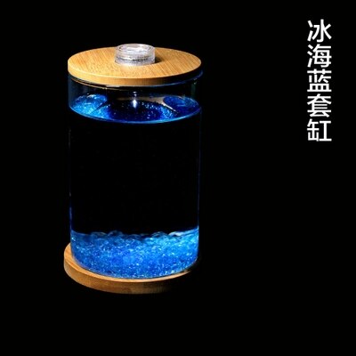 Novel and Strange Toy Miniature Glass Fish Tank DIY Ecology Bottle Desktop Micro-view Office Aquarium for Girl: 2