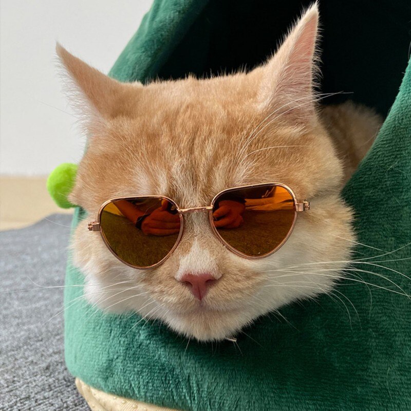 Katze Kleine Hund Spielzeug Auge-Sonnenbrille Tragen Fotos Requisiten Haustier Katze Gläser Hund Brille Stroh Hütte einstellen Haustier Katze zubehör