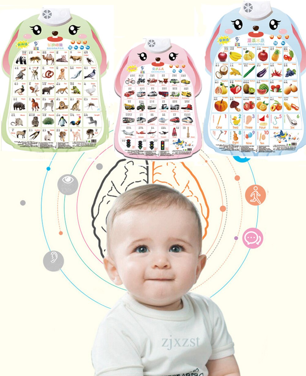 Electronic Interactive Wall Chart Talking English Chinese Vocabulary &Bilingual Talking Poster: Animal + Fruits&Vegetable + Vehi