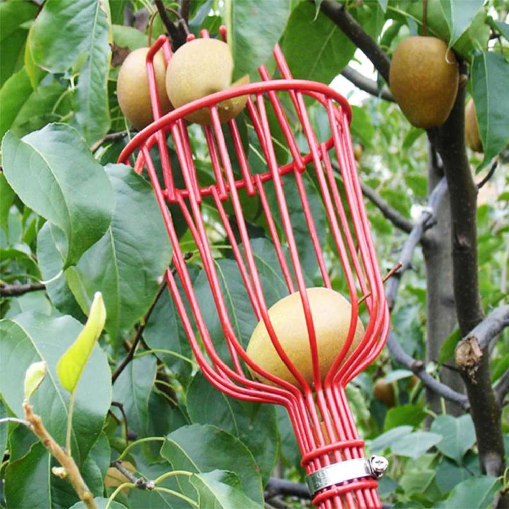 Garden Tools Metalic Fruit Picker Gardening Fruits Collection Picking Head Tool Fruit Catcher Device Greenhouse Fruit Picker