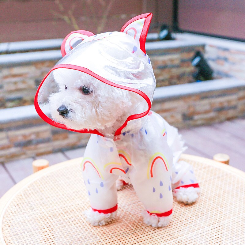 Dog Raincoat Transparent Waterproof Rainbow Rainwear Teddy Bear Small and Medium Raincoat for Dogs: Red / M