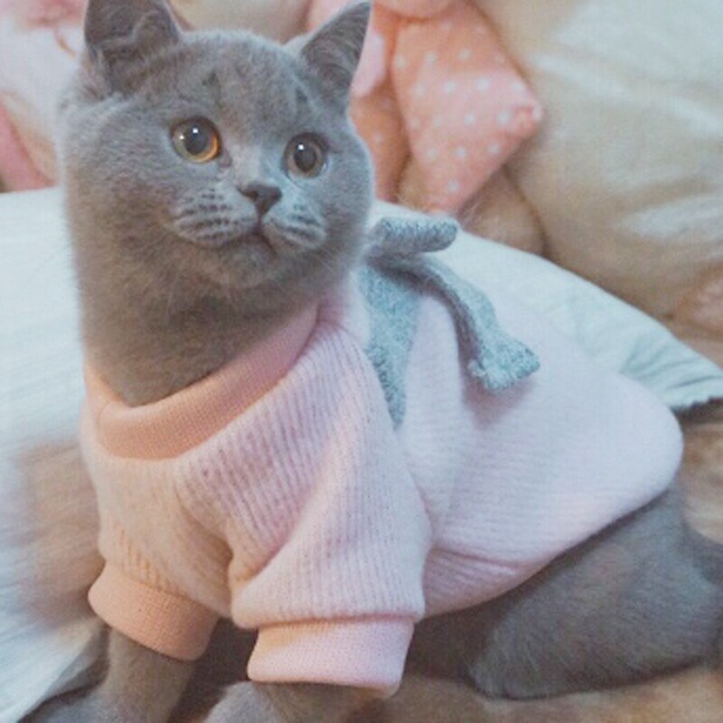 Vinter varmt tøj til små katte hunde sød butterfly kat strikket sweater frakke jakker killing kitty tøj outfits