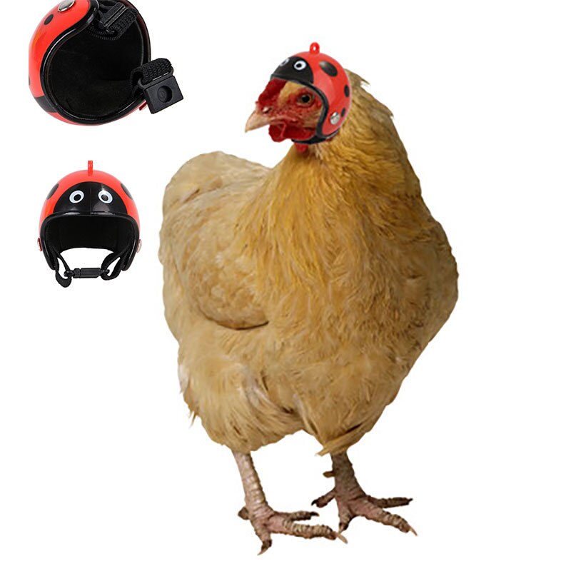 Adjustable Poultry Head Protective Duck Safety Small Pet Smash Proof Headgear Helmet Chicken Hat Accessories Cute Hard Shell