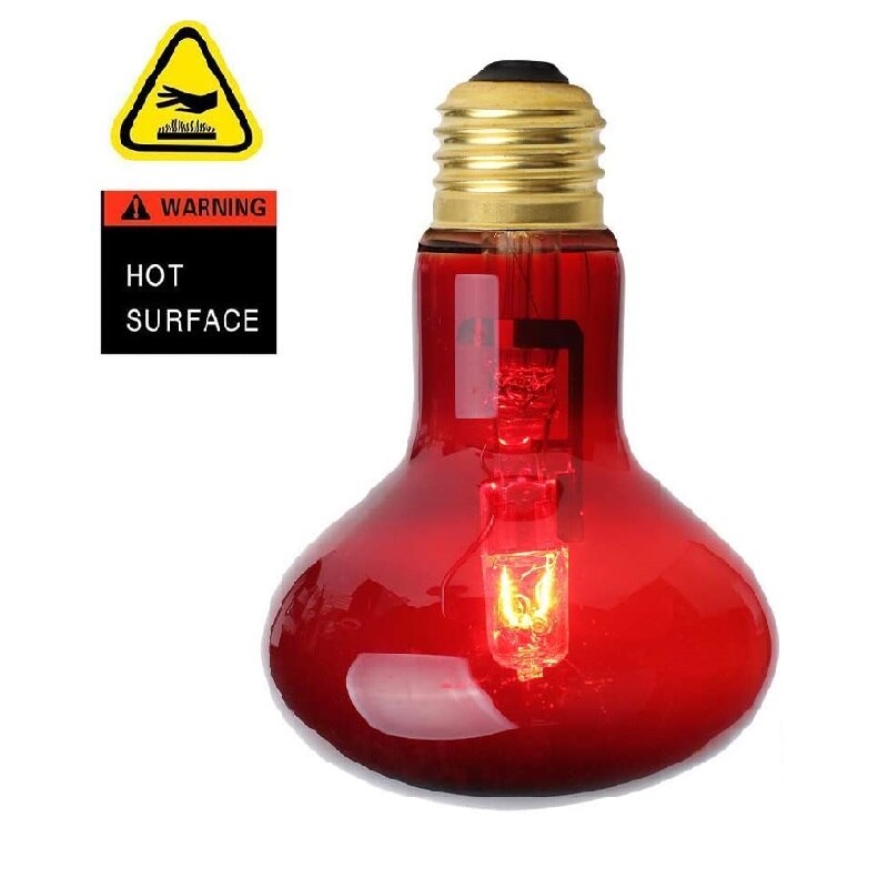 Luz infrarroja para Reptiles, lámpara de calor para Reptiles anfibios, bombillas de dragón barbudo, 40/60W, 2 uds.