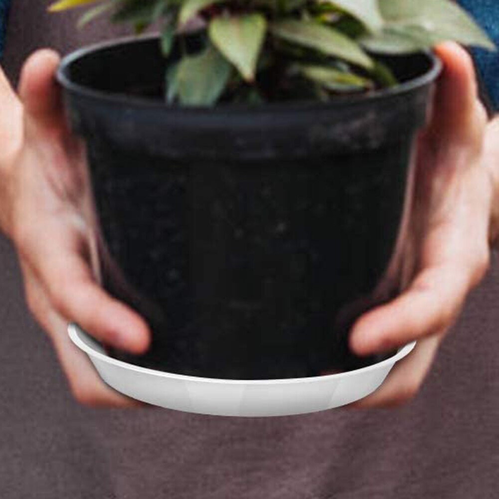 Skråkant slidbestandigt ikke-permeabelt planteværktøj til rund urtepottebakke